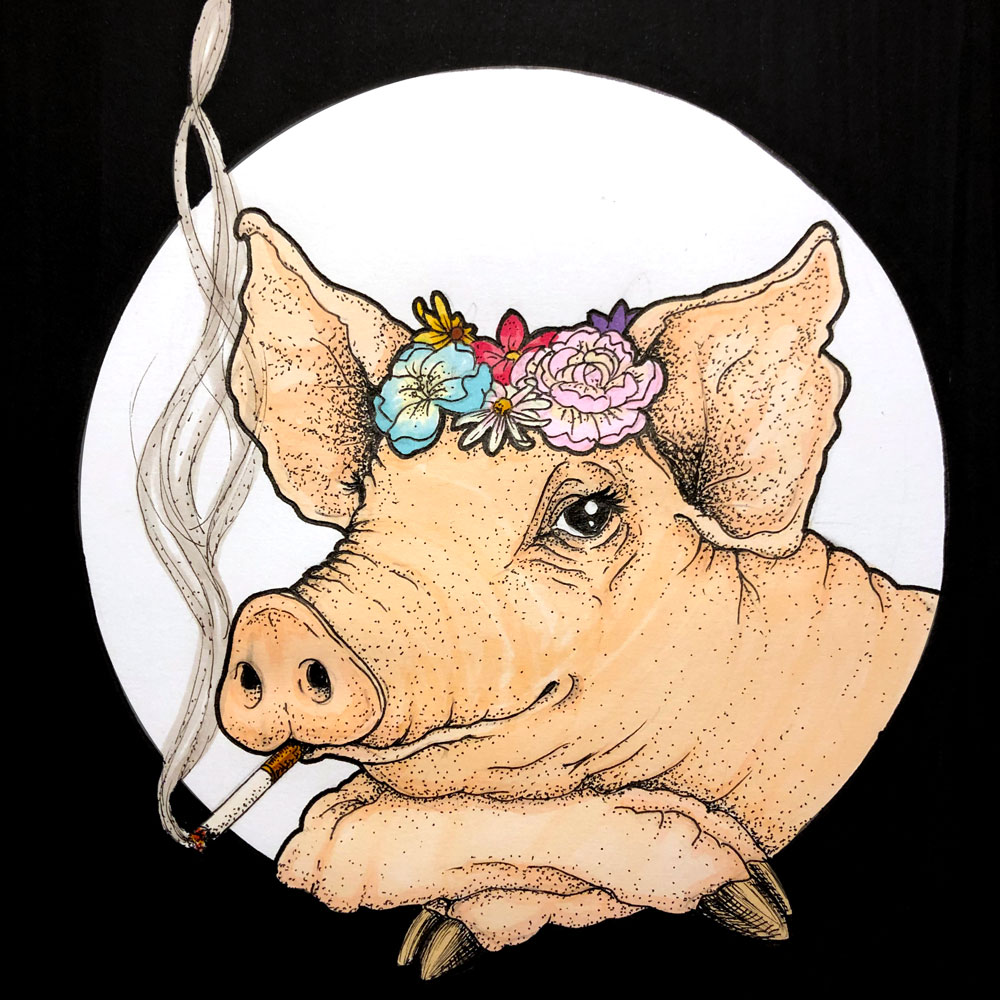 Illustration Piggy