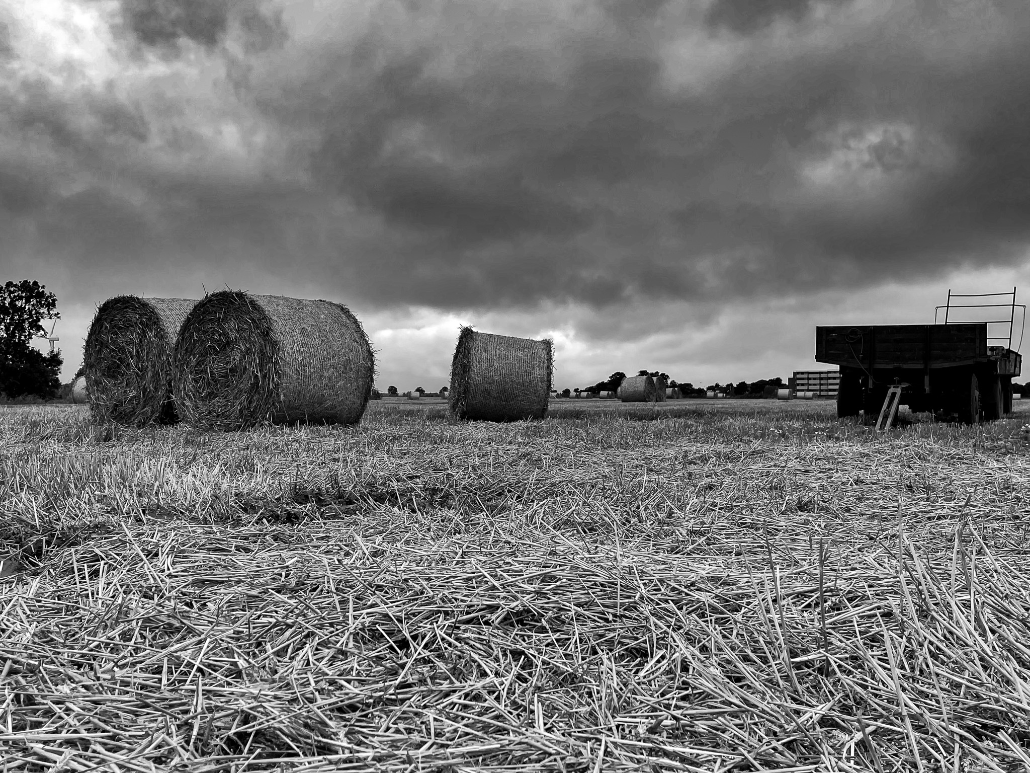 black and white Photography Field