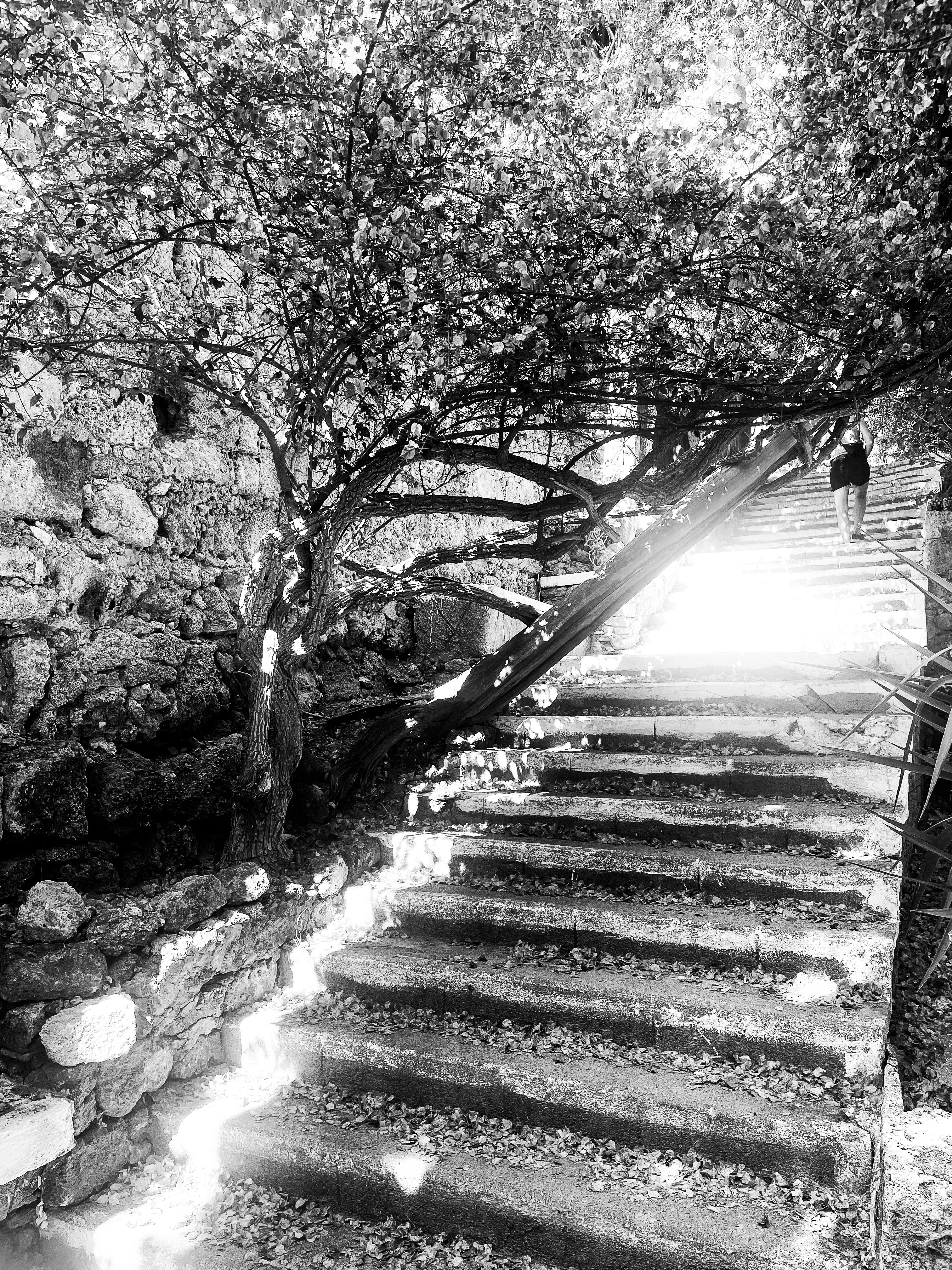 black and white Photography Steps